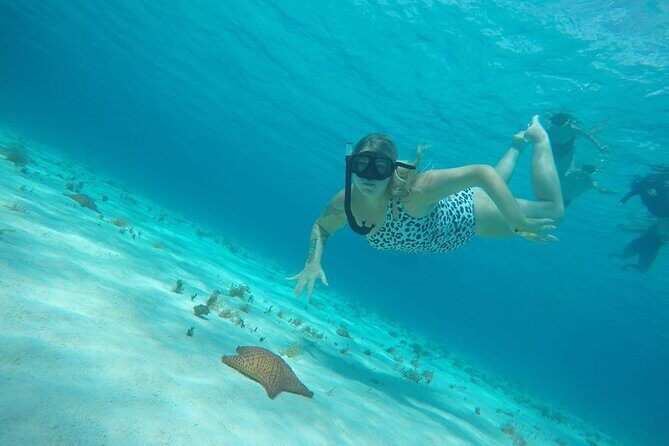 Private Sky Snorkeling Tour - Price and what you actually get for $520