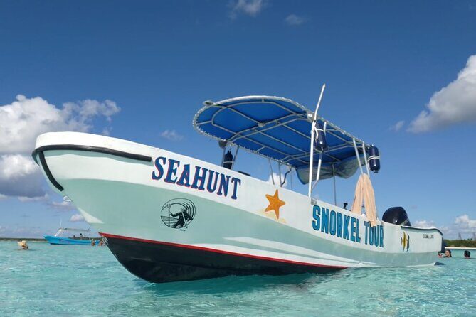 Private Sky Snorkeling Tour - Columbia Reef: variety for your second snorkel