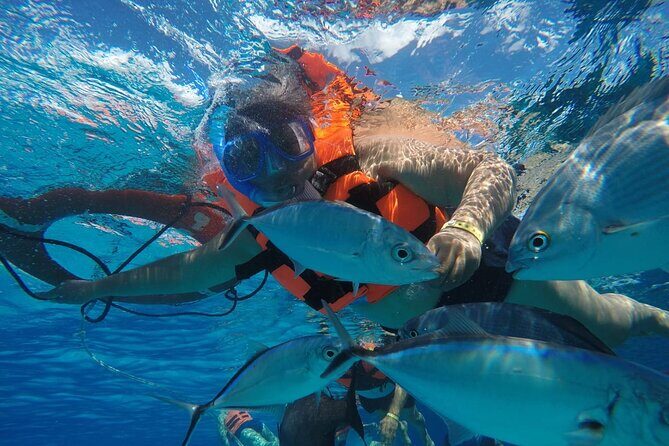 Private Sky Snorkeling Tour - Playa El Cielo: the sand-sky feeling stop