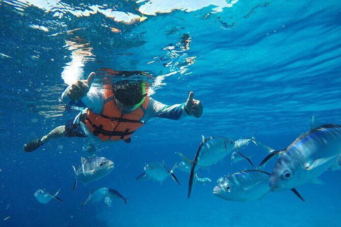 Private Sky Snorkeling Tour - Guides: why Carlos, Leo, and the team change the whole experience