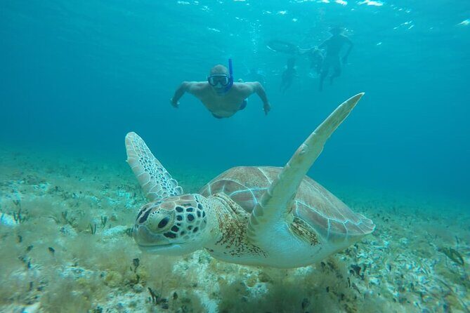 Private Sky Snorkeling Tour - Time management: a half-day that stays fun