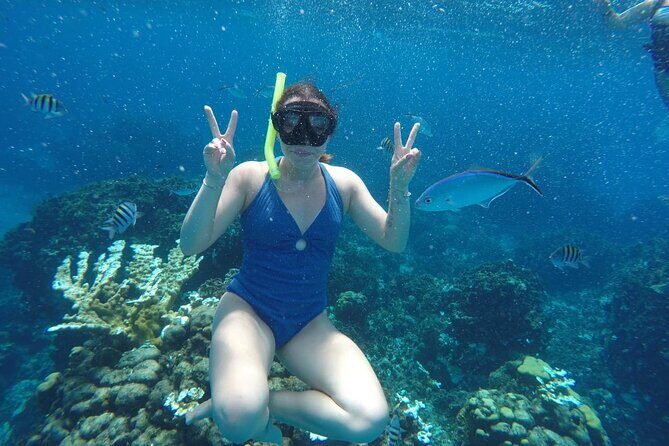 Private Sky Snorkeling Tour - The reef plan: Palancar Reef in about 20 minutes