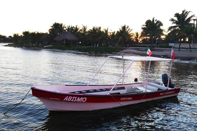 Private Snorkel Tour On The Reef Lagoon - Stop 1: Costa Maya Pirates and the sea-turtle odds