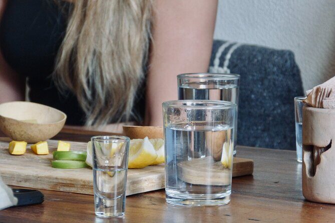 Private Tequila and Mezcal Tasting Session in Tulum - Entering Tequila and Mezcal Country at 6:00 p.m.