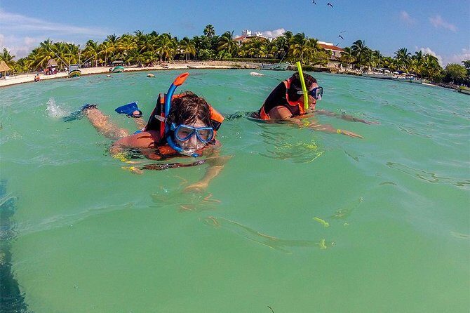 Private Tour: Akumal Marine Turtle Snorkeling and Cenote Adventure - What’s included (and why it adds up)