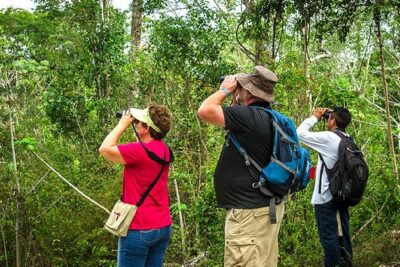Private Tour: Birdwatching from Cancun - Private tour setup: small group, big attention