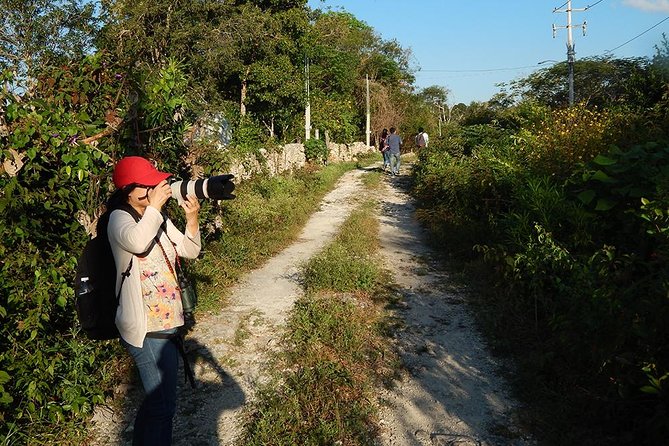 Private Tour: Birdwatching from Cancun - What guides do that makes a life list happen