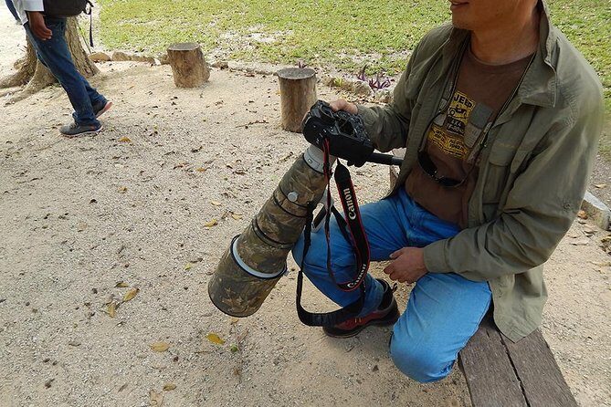 Private Tour: Birdwatching Playa del Carmen - The walk itself: what to expect on the ground