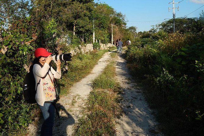 Private Tour: Birdwatching Playa del Carmen - What kind of traveler should book this?