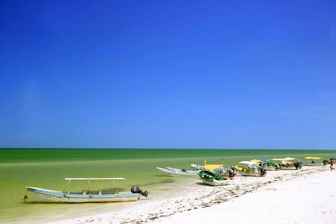 Private Tour: Celestun Biosphere Reserve by Yucatan Concierge - Key things to know before you go
