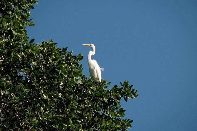 Private Tour: Celestun Biosphere Reserve by Yucatan Concierge - The heart of the day: Ria Celestún Biosphere Reserve