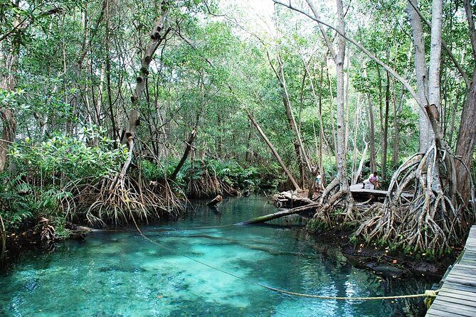 Private Tour: Celestun Biosphere Reserve by Yucatan Concierge - Packing smart: what to bring for Celestún’s real-world comfort
