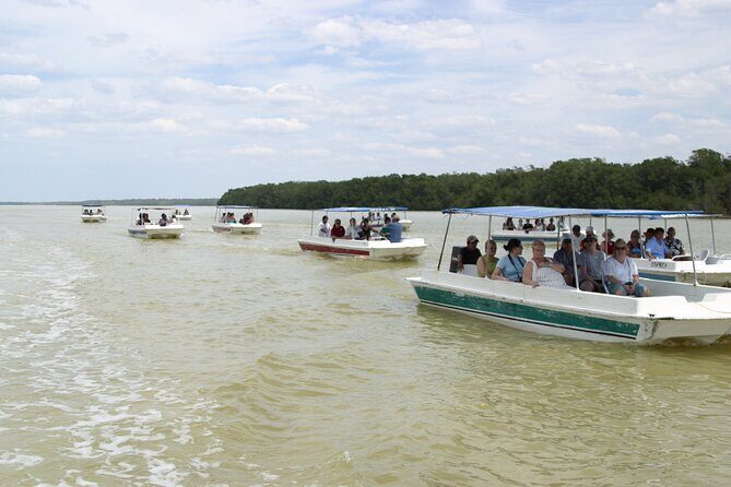 Private Tour: Celestun Biosphere Reserve by Yucatan Concierge - Price and value: is $635 per person actually fair?