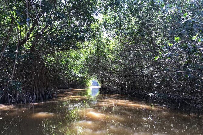 Private Tour Celestun Flamingo Watching and Beach - Price and Value: Why $433 Per Person Might Make Sense
