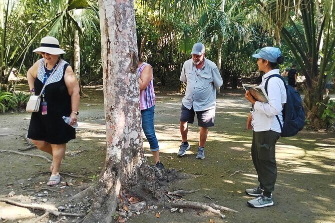 PRIVATE TOUR Chacchoben Mayan Ruins from Costa Maya - Getting to Chacchoben From Costa Maya With a Set Plan