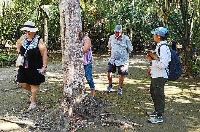 PRIVATE TOUR Chacchoben Mayan Ruins from Costa Maya - Price and Value: $995 Per Group for Up to 12