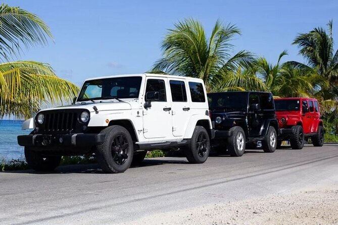 Private Tour Cozumel your way Jeep 4x4 up to 4 People - Key Things to Know Before You Go