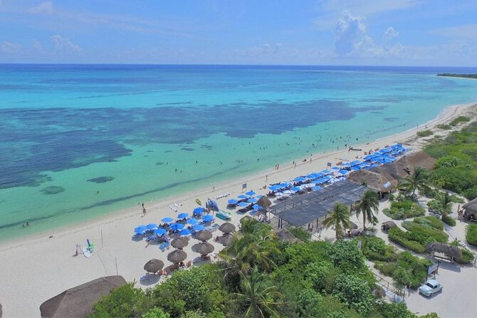 Private Tour Cozumel your way Jeep 4x4 up to 4 People - San Gervasio Mayan Ruins: How to Make This Stop Worth It