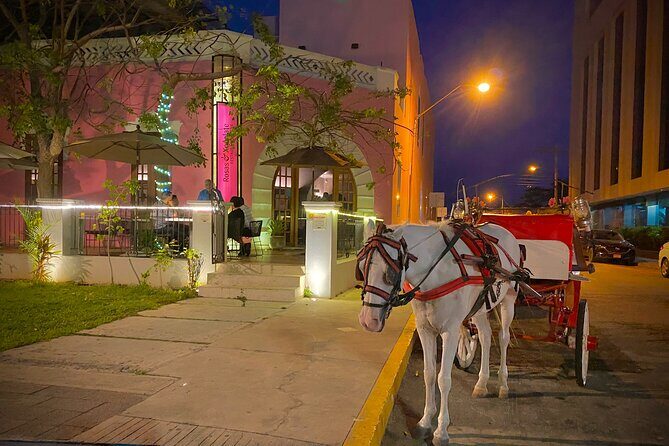Private Tour Guide in Merida, 100% customisable - Universidad Autónoma de Yucatán: education, architecture, and big names