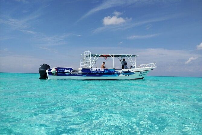 Private Tour in Cozumel El Cielo Sandbar and Reef Snorkeling - Your 5-hour schedule: reefs first, then Playa El Cielo
