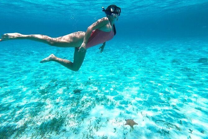 Private Tour in Cozumel El Cielo Sandbar and Reef Snorkeling - Meeting at Caleta Harbor: cruise timing and getting there