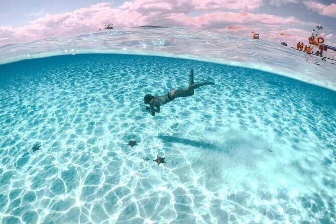 Private Tour in Cozumel El Cielo Sandbar and Reef Snorkeling - Colombia and Palancar Reefs: what you’re really paying for