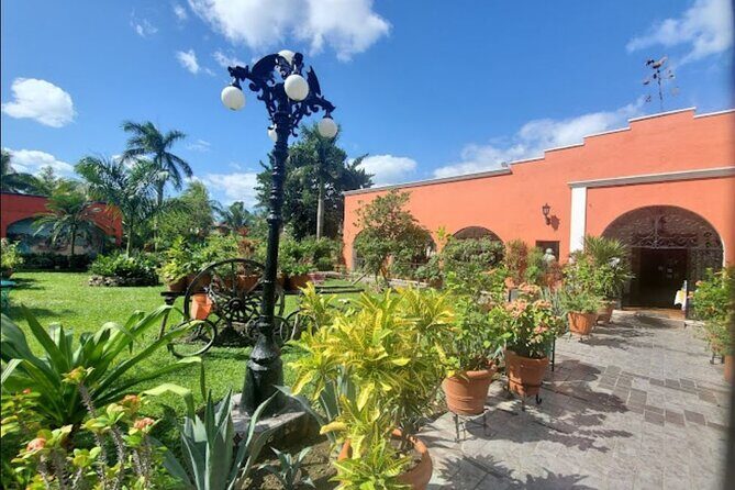 Private Tour of Cozumel in your own way Groups up to 6 People - San Gervasio Ruins: Culture Stop, With Your Pace