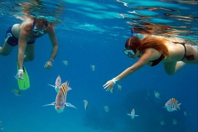 Private Tour of Cozumel in your own way Groups up to 6 People - Beach Parks in Your Time Slot: Chankanaab Beach Park and Punta Sur