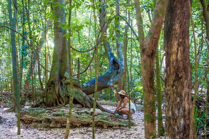 Private tour of Tulum Archaeological Site & Sian Ka'an Muyil - Taco time in Tulum: a break that keeps the day moving
