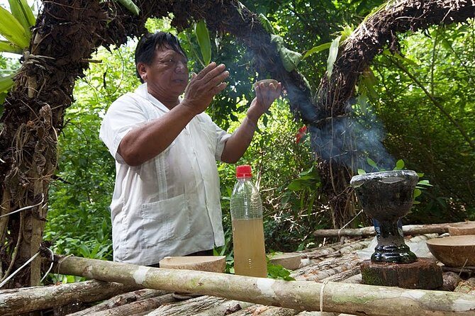 Private Tour Punta Laguna Monkey Sanctuary Zip Line - Rainforest hiking and monkey spotting: spider monkeys and howler monkeys