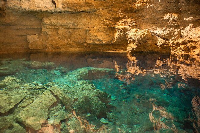 Private Tour Punta Laguna Monkey Sanctuary Zip Line - Cenote swim: cooling off after zip lines