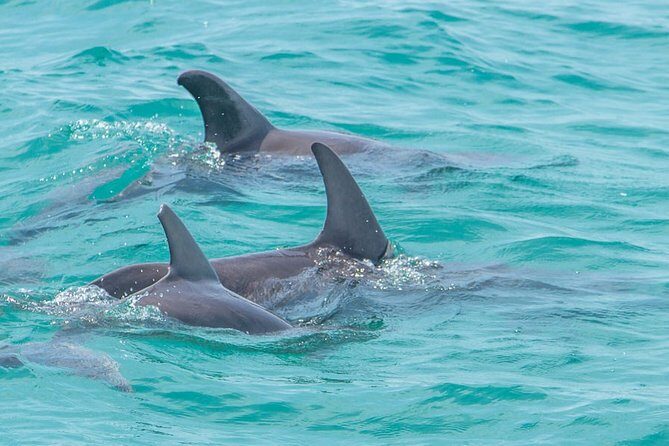 Private tour - Sian Ka´an Adventure - The Guides: What You Gain Beyond the Boat Ride