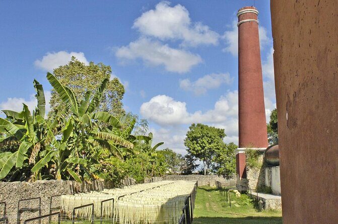 Private Tour: Sotuta de Peon Hacieda Day Trip - Key highlights you’ll actually feel