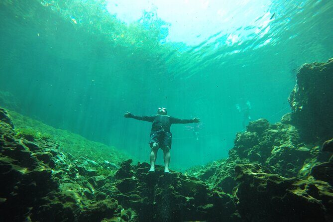 Private Tour Swim with Turtles, 2 Cenotes & Gopro - Cave cenote snorkeling at 5 meters: underground rivers and Mayan symbolism