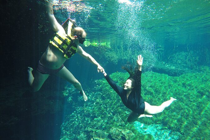 Private Tour Swim with Turtles, 2 Cenotes & Gopro - What I learned from Benjamin on the day