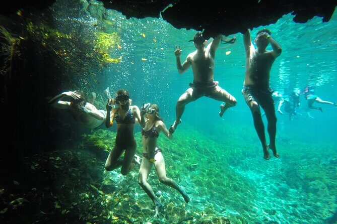 Private Tour Swim with Turtles, 2 Cenotes & Gopro - Price and value: what you get for a half-day (without surprise extras)