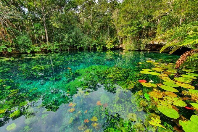Private Tour Tankah 3 Zip Lines 3 Cenotes Canoe Snorkel Community - Private Pickup And Your Own Schedule From Playa del Carmen