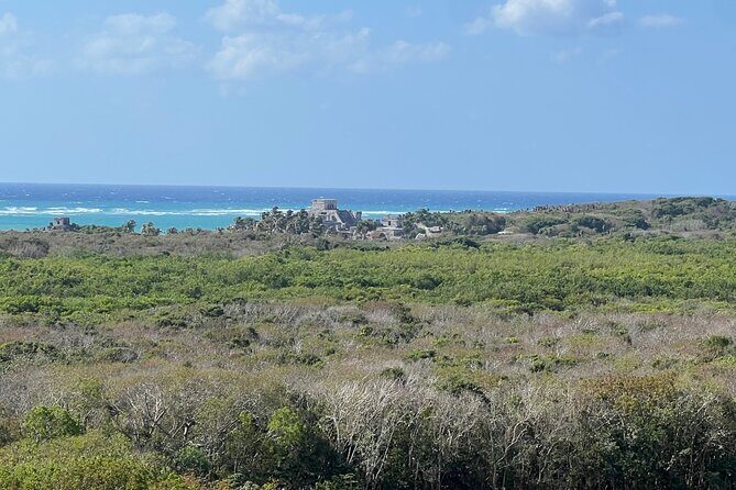 Private Tour to Tulum and Swimming with Turtles in Akumal - Akumal Bay turtle snorkeling: what a natural sanctuary feels like