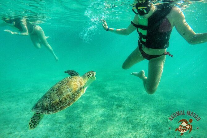 Private Tour to Tulum and Swimming with Turtles in Akumal - A few smart prep ideas for Akumal and Tulum (without overcomplicating it)