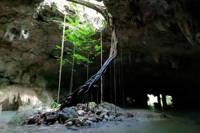 Private Tour to Tulum Cenotes Sac Actun - Why Sac Actun’s underground river is the main event