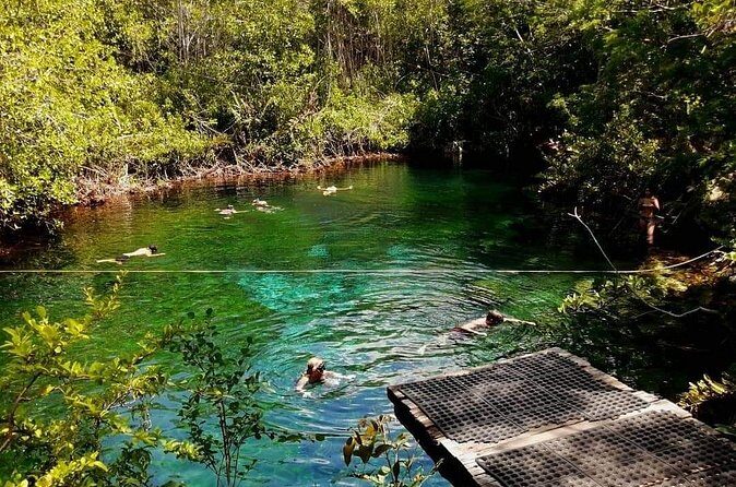 Private Tour to Tulum Cenotes Sac Actun - Stop 2: the open cenote payoff after the cave