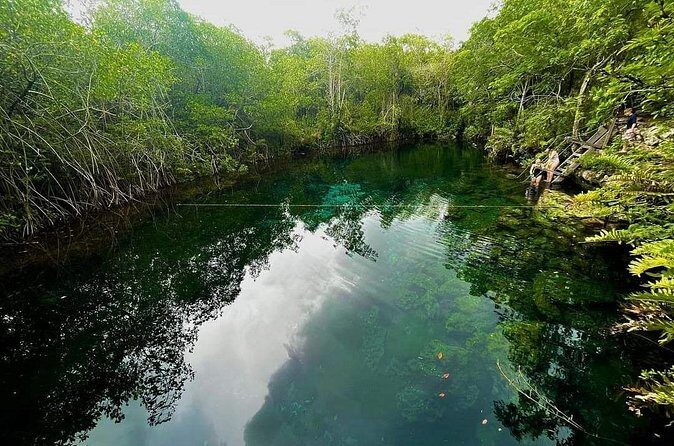 Private Tour to Tulum Cenotes Sac Actun - Price and value: is $190 per person fair?