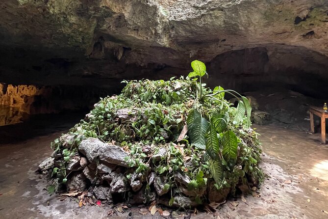 Private Tour to Tulum Ruins And Cenote Yax Muul with Lunch - Lunch, Bottled Water, and Soda/Pop: The Real Midday Win