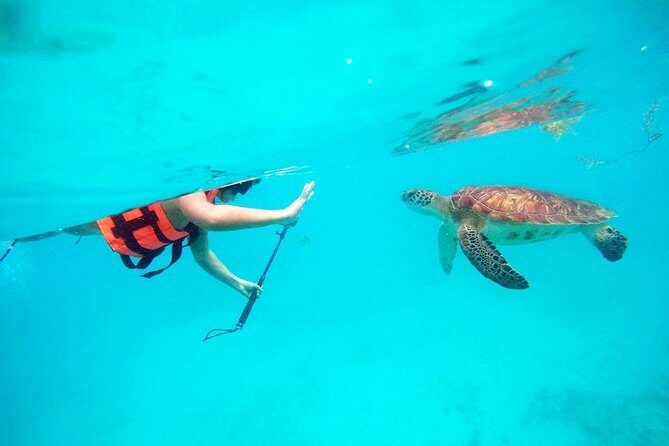 Private Tour Tulum, Reef & Cenote-Cavern from Playa del Carmen - Getting picked up in Playa del Carmen without losing your morning