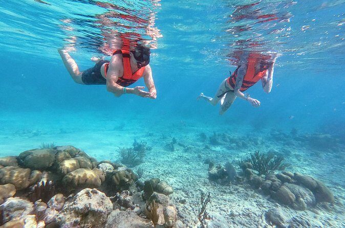 Private Tour Tulum Ruins and Snorkeling in National Park - Lunch in Tulum: tacos that keep the day moving