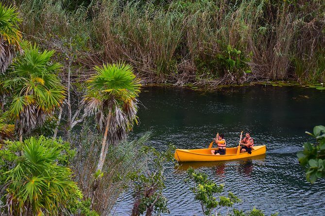 Private tour: Tulum Ruins & Jungle Adventure with Cenote - Price and value: $292.50 plus one key extra fee