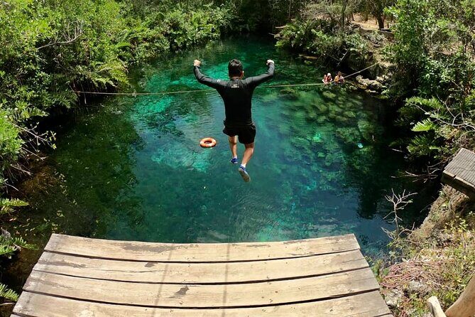 Private Tour Tulum Tortugas Cenote Beach All Inclusive - Price and Value: What $250.89 Buys You Here