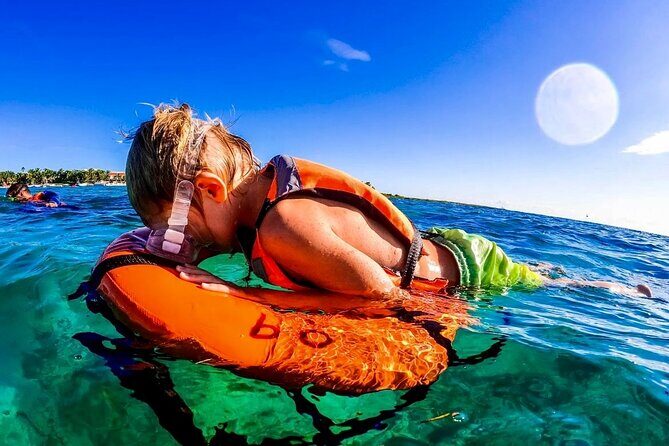 Private Tour Turtles Coral Reef Cenote Beach All inclusive - Akumal snorkeling: turtles near the surface, reef time, and real guidance