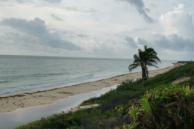 Private Transfer-Cancun Airport-Playa del Carmen One Way - Communication that actually matters when flights change