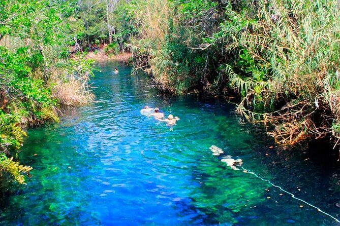 Private Transfer-Cancun Airport to Tulum Downtown - One Way - Price and Value: When $129.99 Works Best